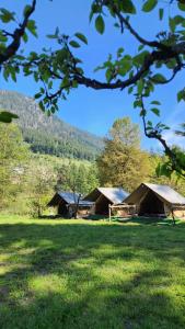 马拉里Himtrek River Side Camps and Hostel Manali的草场上的一群小屋