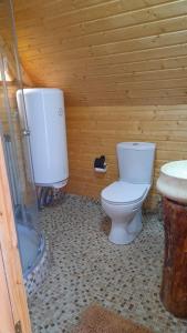 DandaloMountSide的一间带卫生间和水槽的浴室