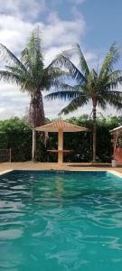 卡皮托利乌Suites Hidromassagem - Pousada Vale da Serra的一座拥有两棵棕榈树和遮蔽处的游泳池