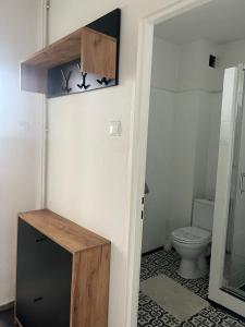 MyszęcinGościniec的客房内设有带卫生间和盥洗盆的浴室