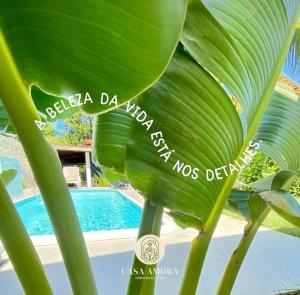 马塔迪圣若昂Casa Amora em Imbassaí的游泳池旁种植了绿叶大植物