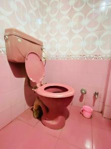 哈里瓦Hari Ganga Near By Bus And Railway Station的粉红色的浴室,房间内设有粉红色的厕所