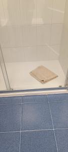 大加那利岛拉斯帕尔马斯Malfu Home的地板上配有纸的淋浴间