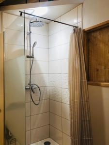 La Barthe-de-NesteL'AUBERGE DES PYRENEES的浴室内配有淋浴帘。