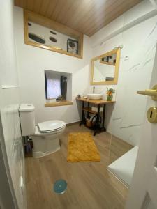 阿尔德亚达斯Casinha Pôr do Sol的一间带卫生间和水槽的浴室