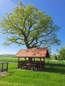 GraboszycePokoje Izabela - Noclegi Graboszyce - Zator的野外树的野餐棚