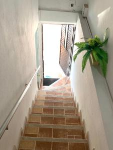 Puerto SalgarAcogedor Apartamento 2 alcobas cerca al mar的楼梯通往种植植物的门