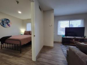 罗切斯特2 Bedroom 2 Bath Apartment Near Mayo, Park Free!的一间卧室配有一张床和一台平面电视