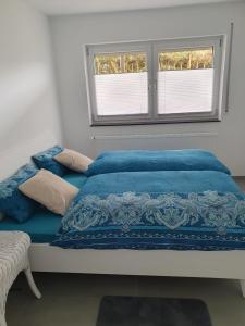 布罗因灵恩Ferienwohnung am Bregenberg的一张带蓝色被子的床和两个窗户