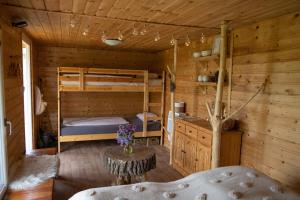TřebívliceMaringotka的小木屋内一间卧室配有两张双层床