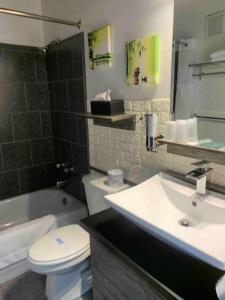 St-Raphael-de-BellechasseMotel Magistral的浴室配有盥洗盆、卫生间和浴缸。