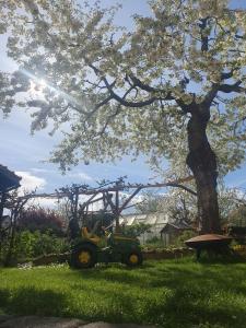 鲁多尔施塔特Ferienwohnung Cumbach的坐在树下草上的拖拉机