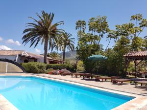 特格斯特Your Island Finca El Picacho A的一个带野餐桌和遮阳伞的游泳池
