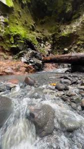 UpalaMineral River Eco Village的河中流水,有岩石