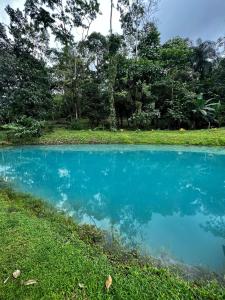 UpalaMineral River Eco Village的绿树成荫的田野中的蓝色池塘