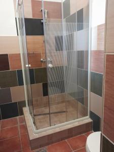 代姆延Varázsfa Vendégház的浴室里设有玻璃门淋浴
