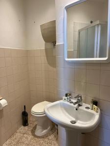 科尔托纳Ostello San Marco Cortona的一间带水槽、卫生间和镜子的浴室