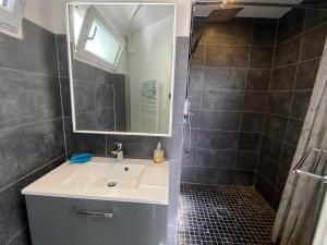 拉隆德莱丝莫里斯Appartement privé à la Villa Paradis de Valcros的浴室配有盥洗盆和带镜子的淋浴