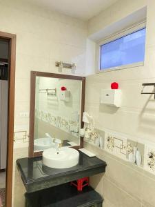 岑山Mai Linh Villa - FLC Sam Son的一间带水槽和镜子的浴室