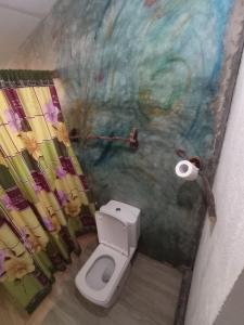 蒂瑟默哈拉默Bundala Resort的一间带卫生间的浴室和墙上的绘画