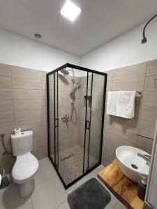 维索科Ravne Energy Apartments的带淋浴、卫生间和盥洗盆的浴室