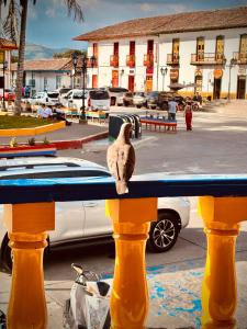 萨兰托Hospedaje Camino Real a 150 MTS del centro的鸟坐在围栏上