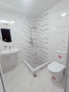 库塔伊西Cozy Apartment In Old Town Kutaisi的白色的浴室设有卫生间和水槽。