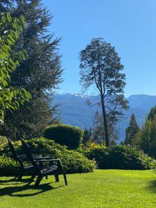 埃博森Altos del Sur Cabañas de Montaña的坐在树边的草地上的公园长凳