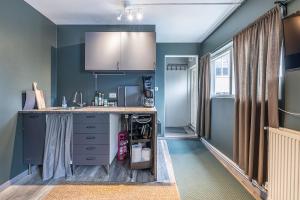 雷克雅未克Charming cottage in downtown Reykjavik - Birta Rentals的厨房设有蓝色的墙壁和台面