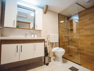 斯特鲁米察Urban Studio Apartments的一间带卫生间和玻璃淋浴间的浴室