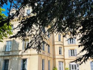 伊居利Grand appartement d'exception au Château Randin的一座带许多窗户的大型棕褐色建筑