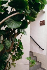 皮帕Flor da Mata的墙上挂着时钟的房间里的一种植物