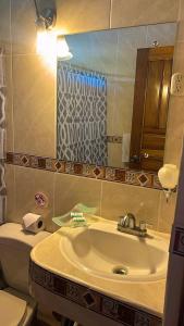 利比里亚Hotel Javy的一间带水槽、卫生间和镜子的浴室