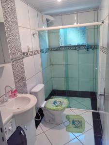 拉热斯POUSADA ALTERNATIVA MANU LAGES suite的带淋浴、卫生间和盥洗盆的浴室
