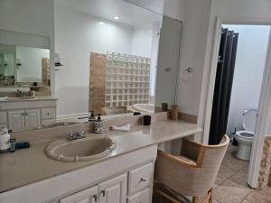 孟菲斯Remodeled 7 bedrooms in Westwood Neighborhood的一间带水槽和大镜子的浴室