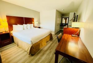 马丁内斯Motel 6 Martinez, CA的配有一张床和一张书桌的酒店客房