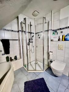 RednitzhembachFireApart的带淋浴、卫生间和浴缸的浴室