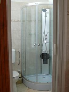小克勒什Madácsi Vendégház的浴室里设有玻璃门淋浴