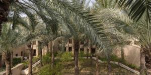 迪拜Bab Al Shams, A Rare Finds Desert Resort, Dubai的一群棕榈树在一座建筑前