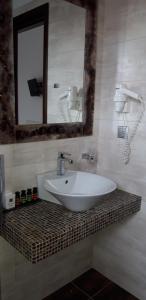 欧拉努波利斯Pansion Irini的浴室设有水槽和镜子,位于柜台上