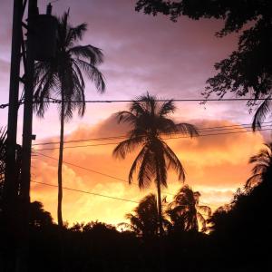 La AsunciónAcogedor Chalet con Piscina.的棕榈树的日落景象