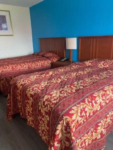 什里夫波特Clover Inn and Suites的两张位于酒店客房的床,拥有蓝色的墙壁
