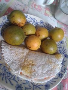 马瑙斯Quarto compartilhado e camping na floresta的桌上有梨和面包的盘子