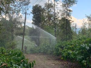 BālehonnūrRaj Estate Stay的田野上带喷水器的花园