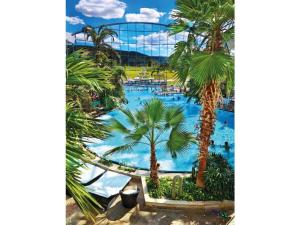 蒂蒂湖-新城Appartementencomplex Titisee的一个带棕榈树大型游泳池的度假酒店