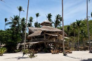 爱妮岛Dryft Darocotan Island的棕榈树海滩上的草屋
