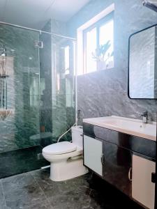 顺化PHƯƠNG ĐÔNG HUẾ HOMESTAY的一间带卫生间、水槽和镜子的浴室