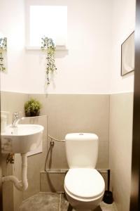 布拉迪斯拉发Schöndorf Hostel - virtual reception的一间带卫生间和水槽的浴室