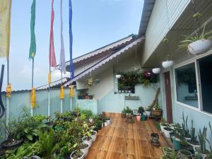 甘托克Lama Hotel的房屋内种植盆栽植物的阳台