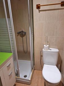 马德里apartamento noviembre的带淋浴、卫生间和盥洗盆的浴室
